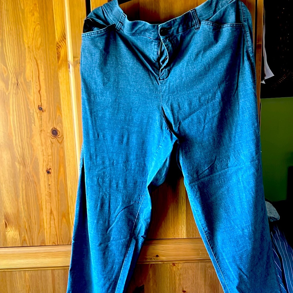 Dress pants